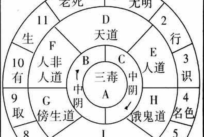佛教讲十二因缘什么意思（十二因缘是什么意思）