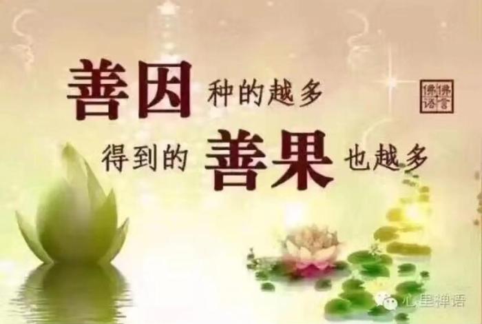 因果报应佛法（佛学因果报应语录）