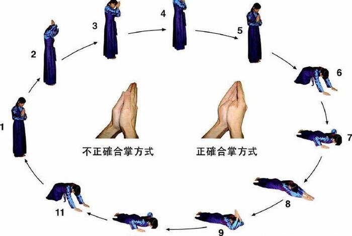 佛教礼仪百科知识讲座视频大全；佛教礼仪视频教学