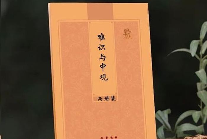 佛教中的中观（佛教的中观和唯识）