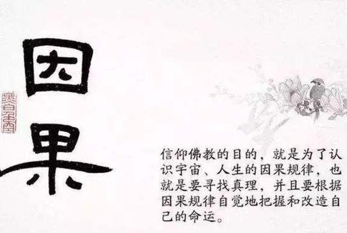 佛学知识中强调的因果，佛教的因果学说