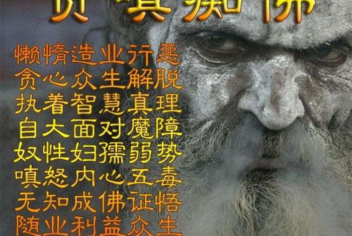 佛学里的贪嗔痴指（佛学里的贪嗔痴指什么意思）