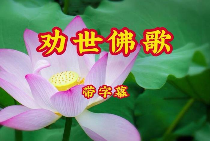 经常听的佛曲 经常听的佛曲是什么
