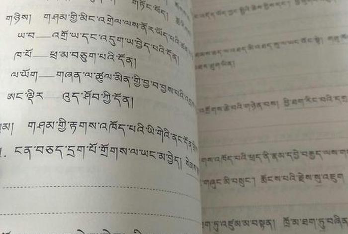 高中藏语知识（高中藏语知识点大全）