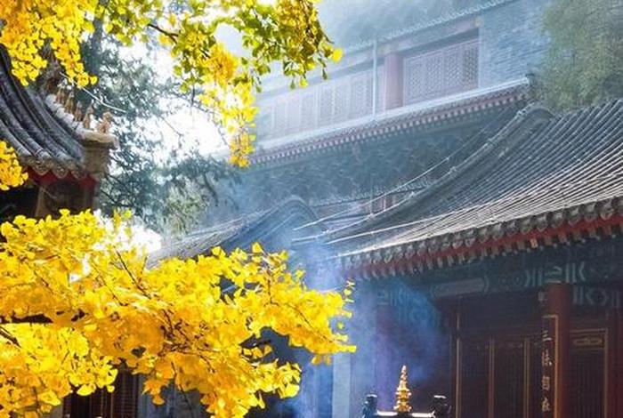 大悲古寺2020年最新视频，大悲古寺 大悲寺