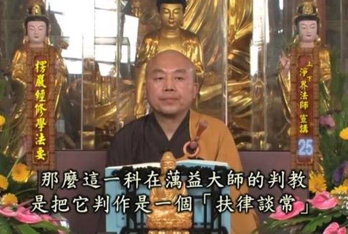 禅净双修净界法师讲解（禅净双修怎么个修法）