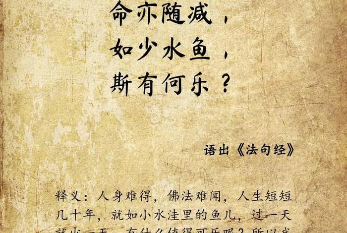 经典文言文佛学语句；佛门语录文言