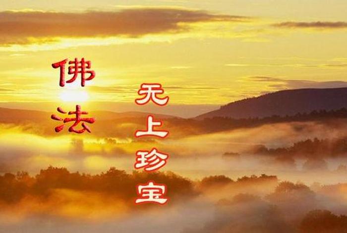 播放佛教的道理 播放佛教的道理和启示