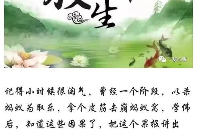 佛教因果报应真实故事、佛教因果报应真实故事有哪些
