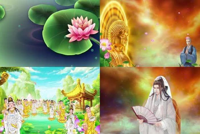 佛教知识素材视频，佛教知识素材视频在线观看