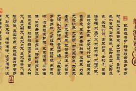 初学佛教读经知识视频全集；初学者佛经