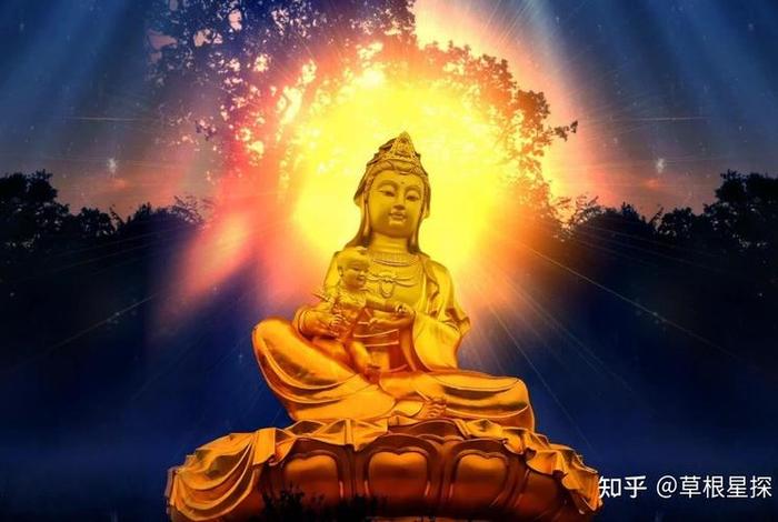 佛教算知识吗知乎推荐文章大全（佛教是教育吗）