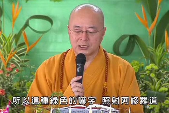 佛教基础知识教程视频全集 佛教基础知识讲座视频