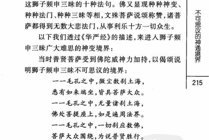 佛教基础知识31集视频 - 佛教基础知识讲义