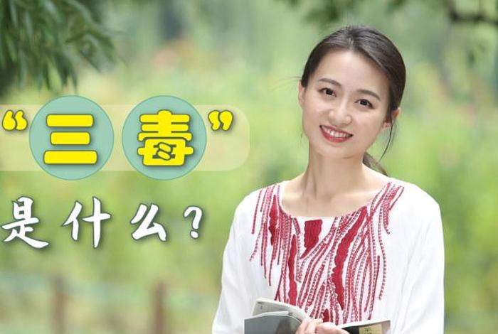 佛教“三毒”指的是（佛教三毒指的是什么内容）