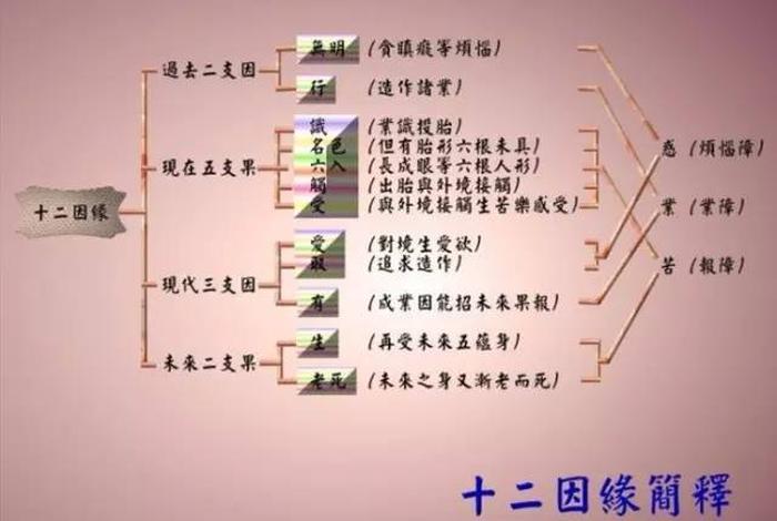 佛教对八字的认识；佛教对八字的认识和看法