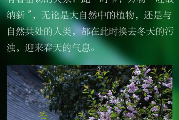 清明佛教知识问答题及答案；清明节佛教活动