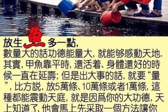 佛教放生的基础知识是什么 - 佛教放生的基础知识是什么意思
