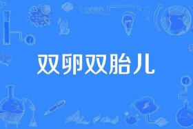 双胞胎有什么说法，双胞胎是什么福报