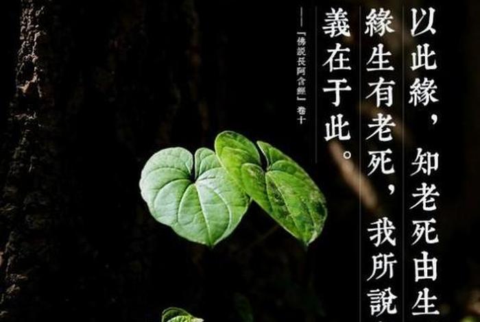佛教皈依是什么意思，佛教皈依佛门什么意思？