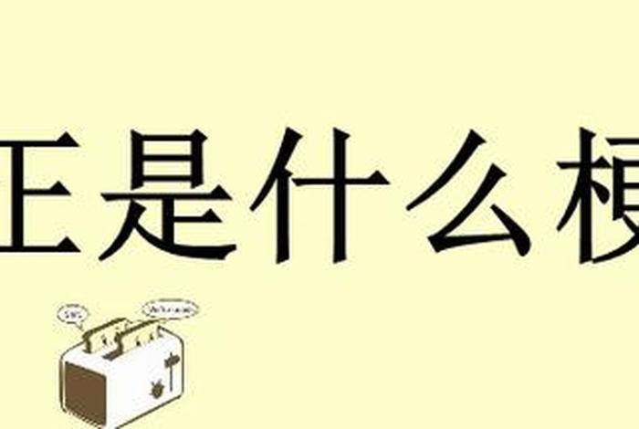 什么是 - 什么是正