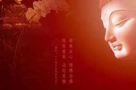 佛教如何看待命运和生辰八字 佛家如何看待生命的意义