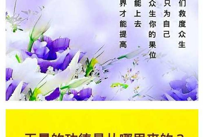 朋友圈说说佛法；佛家发朋友圈
