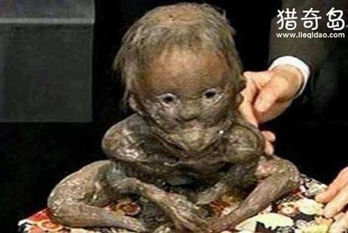 佛教灵异事件真实案例 让人不得不相信 - 佛教灵异视频大全
