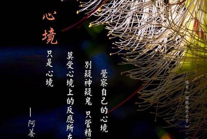 佛教对于一个人的解读；一个人对佛法的感悟