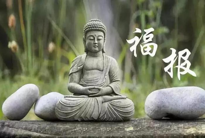 佛教冷知识智慧心得体会 佛教知识1000问