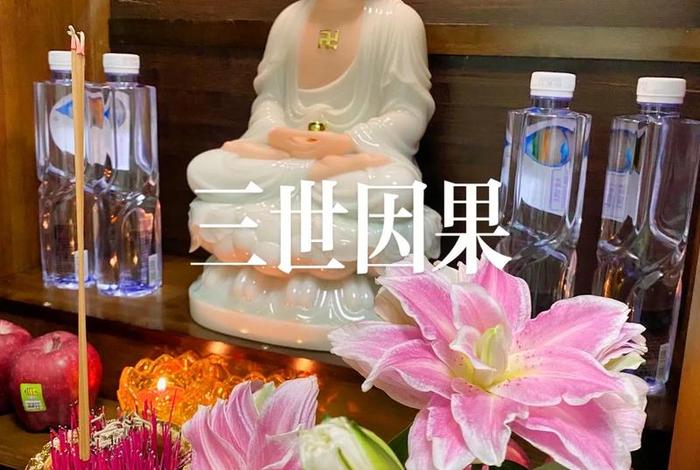佛法中什么叫着相（佛法着相是什么意思）