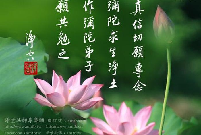 学一些阿弥陀佛的知识（学阿弥陀佛经）