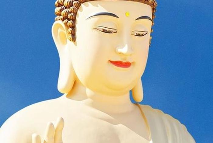 佛教知识小程序大全图片，佛教知识小程序大全图片下载