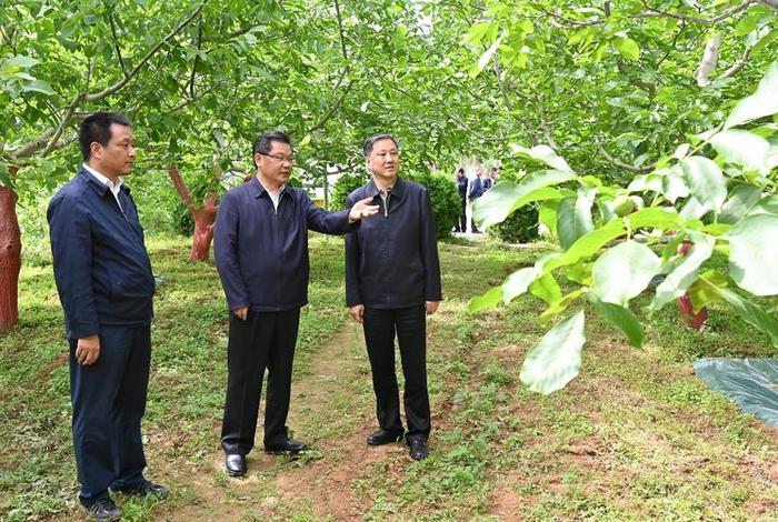 中国佛教协会秘书长陇兴（陇南市佛教协会会长）