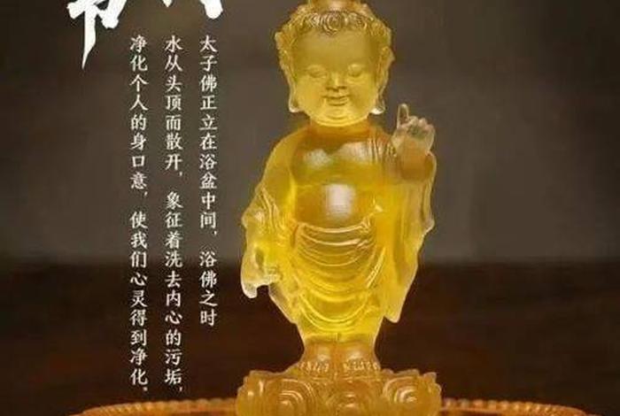佛教中的冷门知识大全视频、佛教中的冷门知识大全视频下载