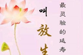 佛教心语早安图片 - 佛教早安心语带大全