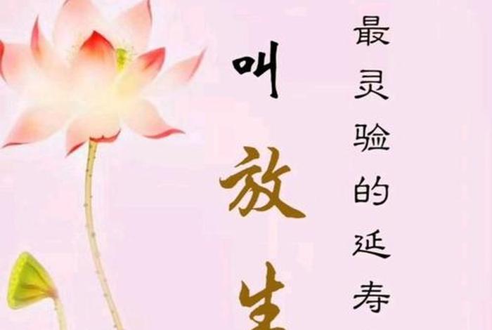 佛教心语早安图片 - 佛教早安心语带大全