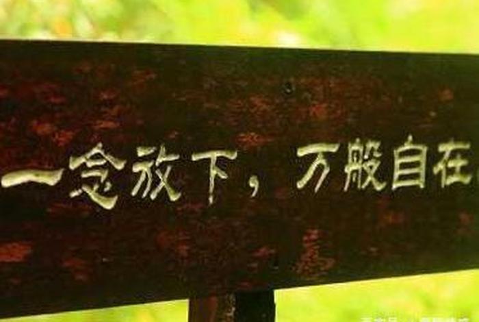 佛说放弃是最高的境界 - 佛说学会放弃