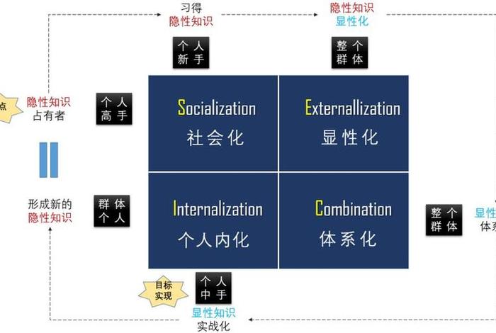 隐性的知识 - 隐性知识社会化