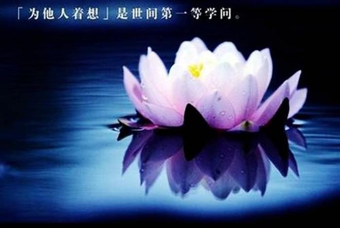 佛教中的慈悲指的是什么、佛教中的慈悲指的是什么意思