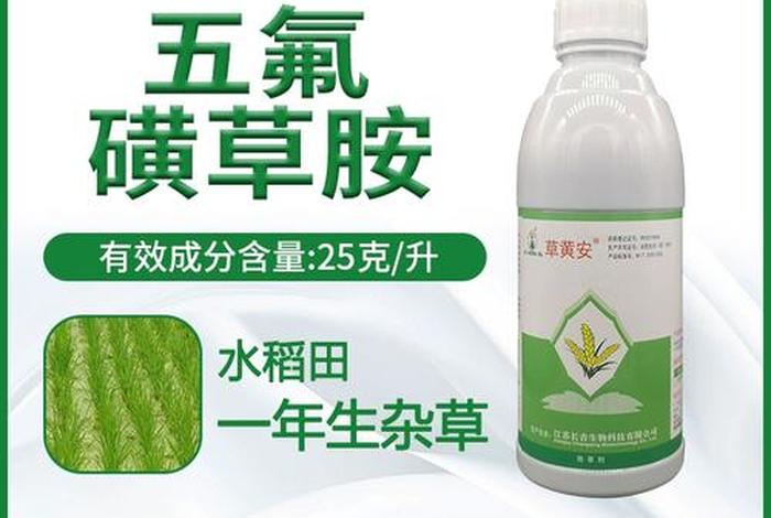 黄安主要治疗什么病症、黄安的药效和副作用