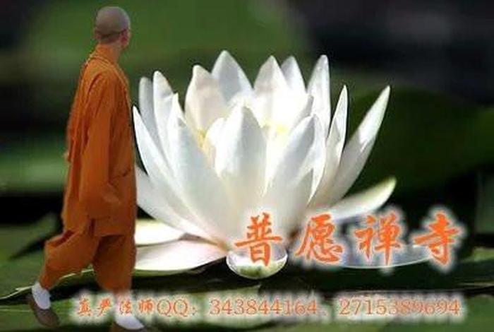 学佛一定要吃素；学佛一定要吃素吗视频
