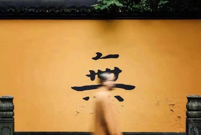 知识佛系；佛系专业