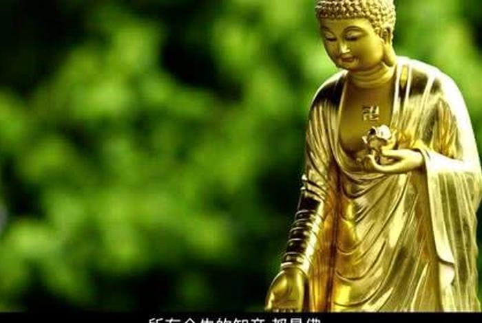 正确学佛方法视频教程 正确学佛方法视频教程下载