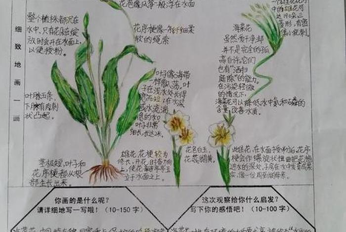 全国导游基础知识佛教笔记大全（全国导游基础知识佛教笔记大全下载）