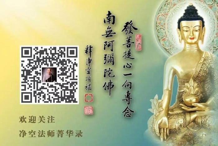 认识佛教 认识佛教全集视频净空