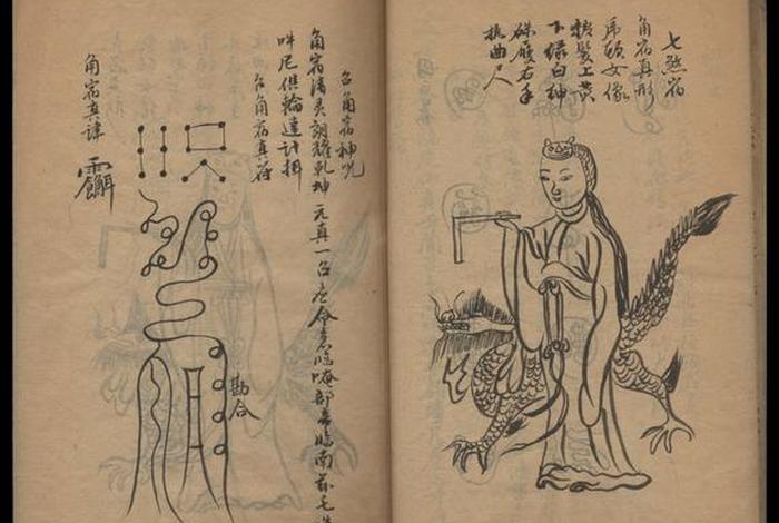 道家佛教入门知识大全书籍图片（道家佛学）