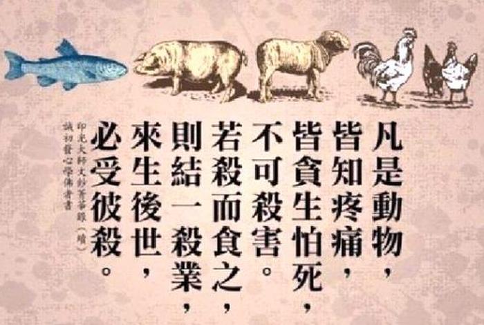 三净肉是哪三净 - 三净肉是哪三净的