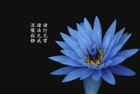 佛教里的无常指什么（佛教的无常什么意思）