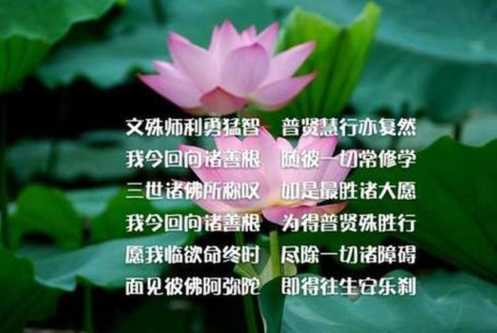 佛教的优婆夷是什么意思（优婆夷怎么读）